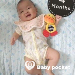 若葉ちゃん2.3.4ヶ月のご報告