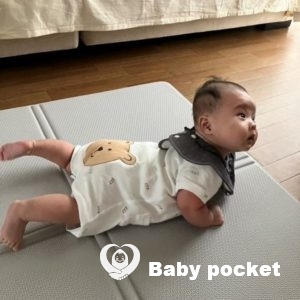 アンビ君のお宮参りとお食い初めのご報告