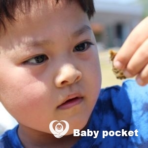 ☆まかなにくん6歳になりました☆