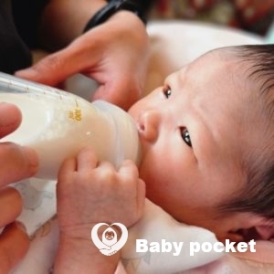 マカナちゃんをお迎えしました!