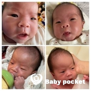 ルーちゃんをお迎えしました