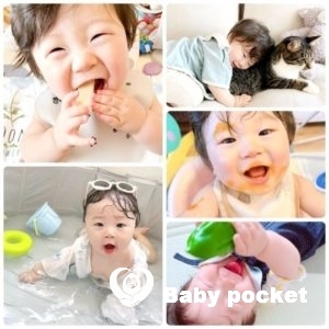 猫之助くん、1歳を迎えました!