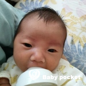 サファイアちゃんをお迎えしました