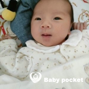 サファイアちゃんをお迎えしました