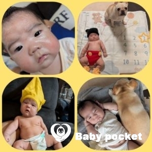 お宮参り&100日祝い