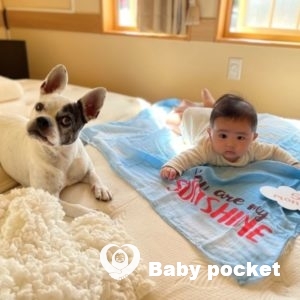 おかかくん5ヶ月のご報告