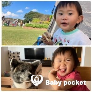 マラサダちゃんの最近の様子