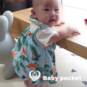 ダイヤちゃんハーフバースデーのご報告