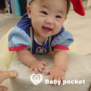 ダイヤちゃんハーフバースデーのご報告