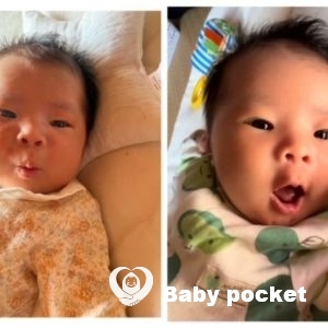 しらゆきちゃん　1か月検診のご報告と近況