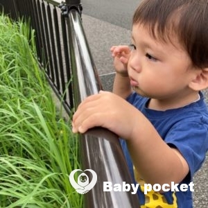 スナドリネコくん☆2歳