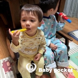 スナドリネコくん☆2歳