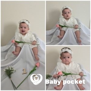 ひまちゃん ハーフバースデーを迎えました