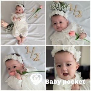 ひまちゃん ハーフバースデーを迎えました