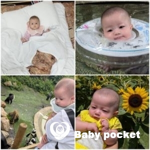 ひまちゃん ハーフバースデーを迎えました