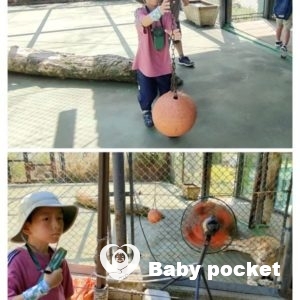 あるばくん☆7歳になりました☆