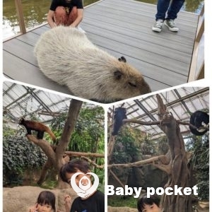 モント君5歳になりました!