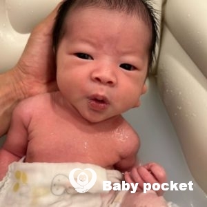 ネルちゃんをお迎えしました