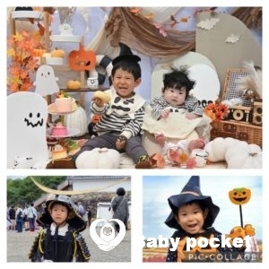 ココアくん2歳6ヶ月のご報告