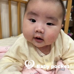 サマーちゃんお食い初めと近況のご報告