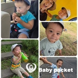 コッカーくん2歳6ヶ月を迎えました☆