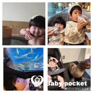 ミロちゃんハーフバースデーのご報告