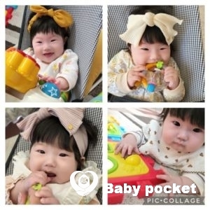 ミロちゃんハーフバースデーのご報告