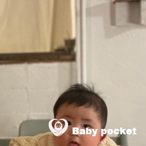 おかかくんハーフバースデーのご報告