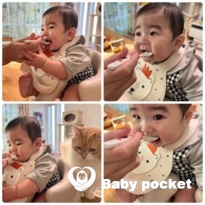 承太郎くんハーフバースデーのご報告