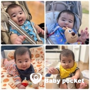 承太郎くんハーフバースデーのご報告