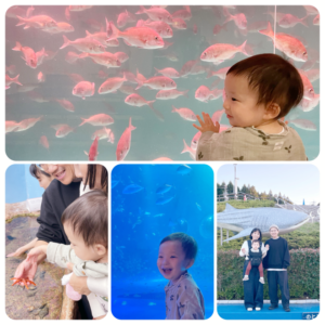 ヴァロくん、1歳7ヶ月のご報告。