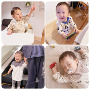 ヴァロくん、1歳7ヶ月のご報告。
