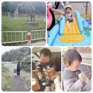 ヴァロくん、1歳7ヶ月のご報告。