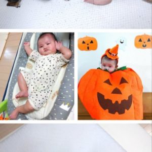 ポキールくんのハーフバースデーと成長のご報告