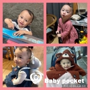 マリーゴールドちゃん1歳のご報告