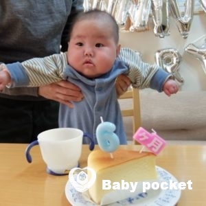 サクラちゃんハーフバースデー