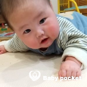 サクラちゃんハーフバースデー