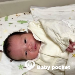 モモリンちゃんを迎えました