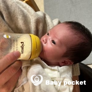 モモリンちゃんを迎えました