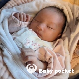 かぼすちゃんをお迎えしました