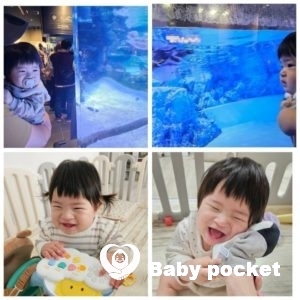 ナラちゃん入籍のご報告