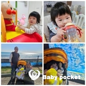 ナラちゃん入籍のご報告