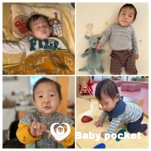 スイミーくん、入籍のご報告