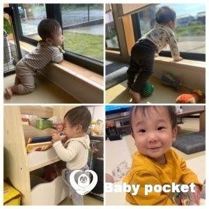 スイミーくん、入籍のご報告