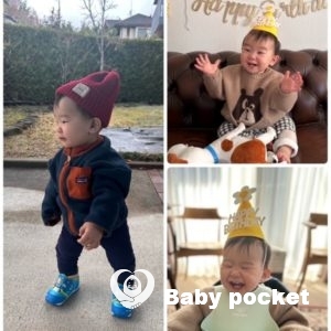 NORAME君1歳のご報告