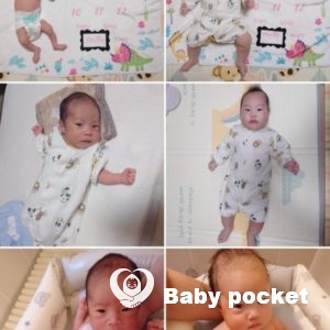 アネラ君のハーフバースディ