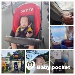 アネラ君のハーフバースディ