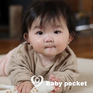 こまちちゃんハーフバースデー