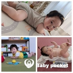 チャコちゃん ハーフバースデーのご報告