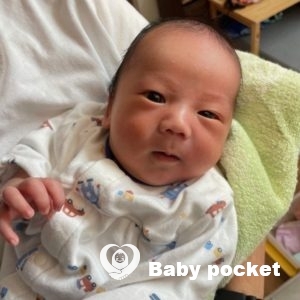 アダマンタ君をお迎えしました!